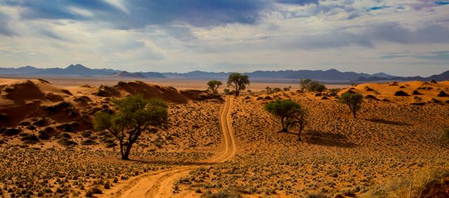 Deadvlei Namibië – Matoke Tours